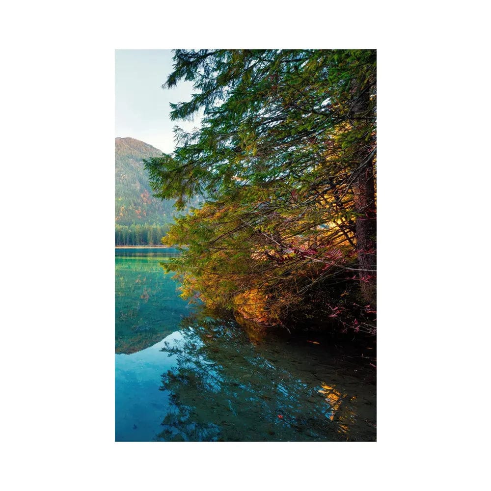 Pack - Tableau foret lac